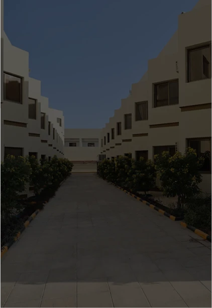 pmo-4_(1).webp (2)