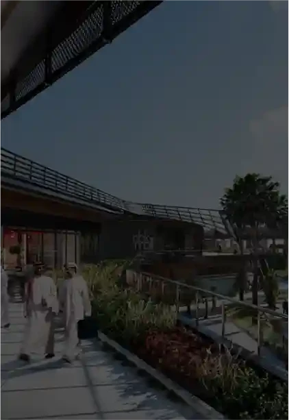pmo-2.webp (4)